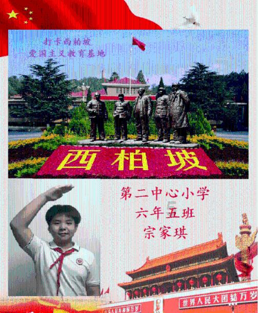 手机号算卦