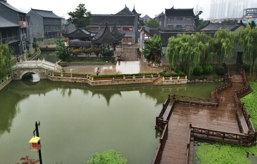 救援贪玩的大象
